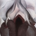 spuddling-around avatar