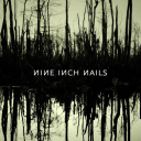 spun45mdfwfun avatar