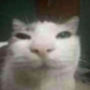 spunky-spunkster avatar