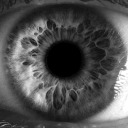 spuntinidivista avatar