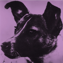 sputnik-z avatar