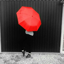 spyattack-blog avatar