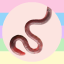 squ1rm1eworm1e avatar