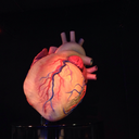 squabblesquanch avatar