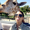 squadsourcesdos avatar