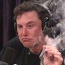 square-senpai avatar