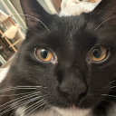 squeakyspacebunny avatar