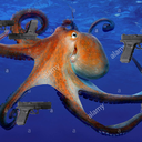 squid-bomb avatar