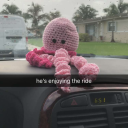 squid-bouquet avatar