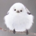 squid-in-space avatar