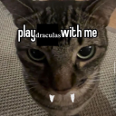 squideocassettes avatar