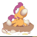 squidsoldier6 avatar