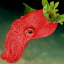 squidstrawberry avatar