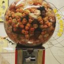 squidwithamelon avatar