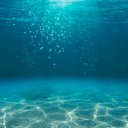 squigglebricks avatar