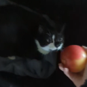 squigglecrafts avatar