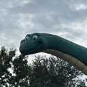 squiggles-123456 avatar