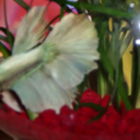 squirrelapocalypse avatar