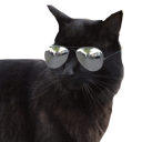 squirrelenthusiast avatar