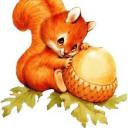 squirrelnest avatar
