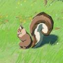 squirrelsandmurders avatar