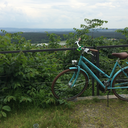 squirrelwanderwitch avatar