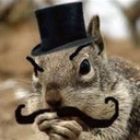 squirrelwithatophat avatar