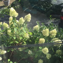 squishsupportgroup avatar