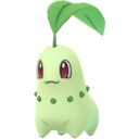 squishy-melon avatar