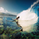 squishy-squid-blog avatar