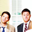 squishy-the-jellyfish avatar