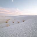 squishyeverything avatar