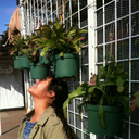 squishyeyeballls avatar