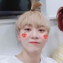 squishyseungkwan avatar