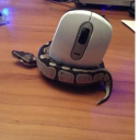 squishythighs13 avatar