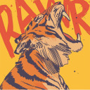 srarkori12-blog avatar