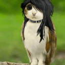 srcocodrilouwu avatar