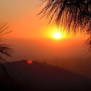 srephotography-blog avatar