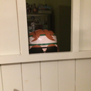 srgtmarshmallow avatar