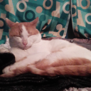 srta-sin-nombre avatar