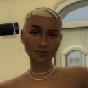 ss-simsccsave avatar