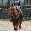 ss-tamba-blog avatar