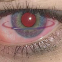 ssagalugnbacke avatar