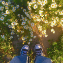 ssalemsskeletonss avatar