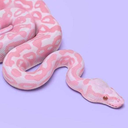 ssalmonsserpent avatar