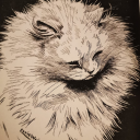 ssardoniscorn avatar