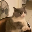 ssbu-aus-and-other-stuff avatar