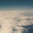 sscarletfieldss avatar