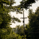 ssemperrvirens avatar