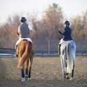 ssharouphotography avatar